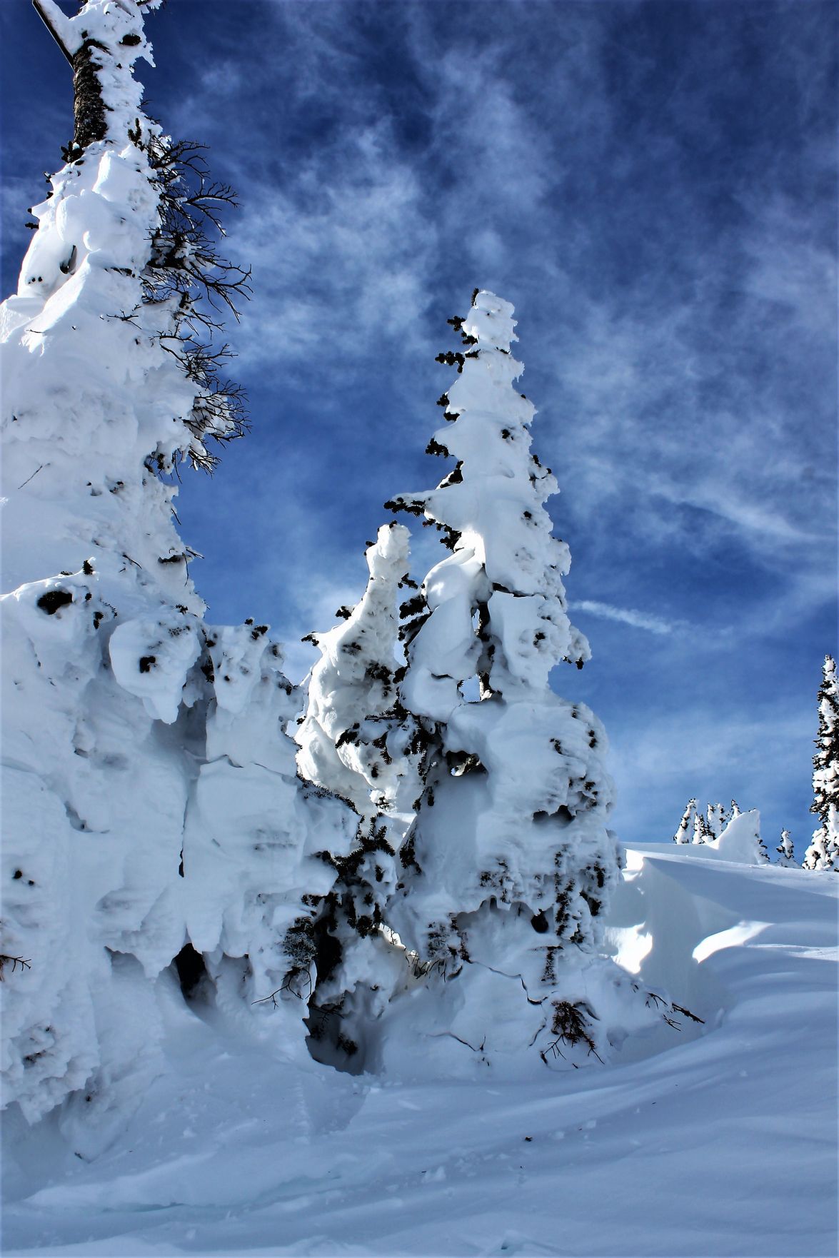Snowy scene